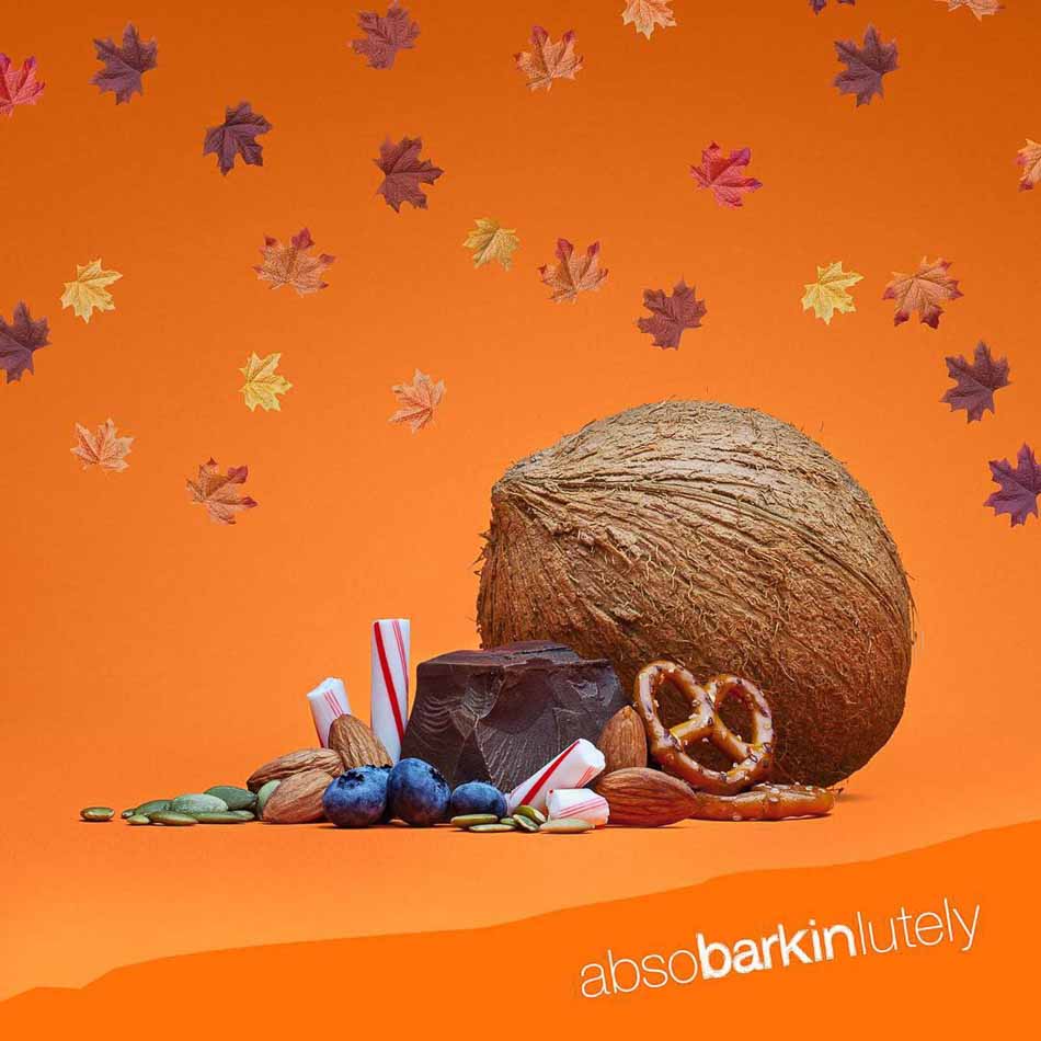 Barkthins ingredients, coconut, chocolate, pretzel, peppermint, blueberry, almond, seeds | Product Photography | Food Photography | Still Life Photography | Shot in Boulder, Colorado for Crispin Porter + Bogusky